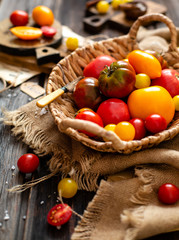 homegrown assorted red, yellow, orange tomatoes in wicker straw basket stands on sackcloth on rustic wooden table, autumn harvesting, selective focus