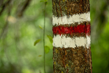 Flag of Atlantico, flag of Colombia. It is also the flag of Belarus 1918-1919.