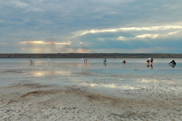 Walk along the salt firth on a rainy day.
