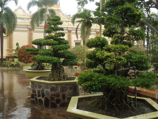 Fototapeta na wymiar Bonsai trees in the gardens of Vinh Trang Temple, Vietnam, on a rainy day