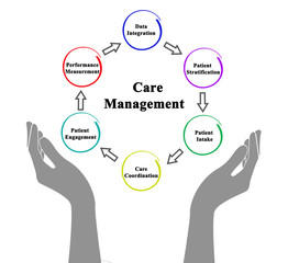 Six Components of Care Management.