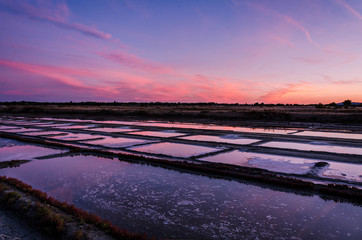 Marais Salant Ile de Ré lever soleil