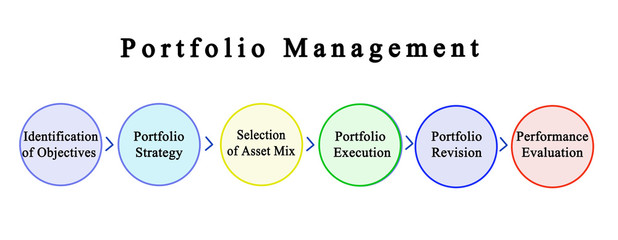 Six Components of Portfolio Management.
