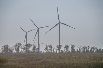 Wind power stations work in the field.