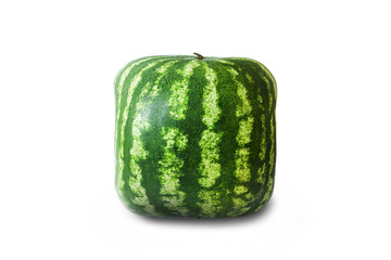whole green square watermelon isolated on white background