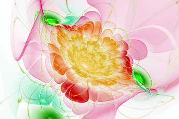 Bright flower, abstract painting multicolor texture.