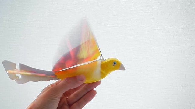 electronic parrot bird hand white background 