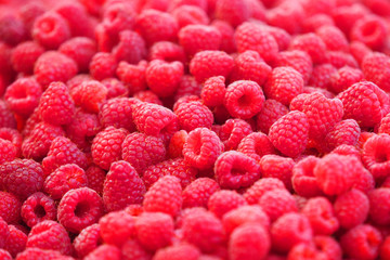 Raspberries or Rubus background, sunlight. Fresh fruit close-up, fruit market