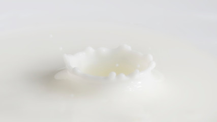 Obraz na płótnie Canvas white milk splash on white background