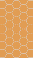 Ornate geometric pattern and two-tone abstract background