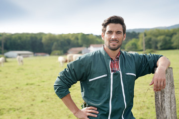 Fototapeta premium Farmer standing in front of cattle in farm