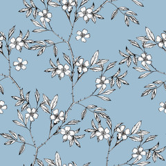 Botanical drawing flowers cosmos pattern. Seamless flower pattern background with Dog-rose flower drawing illustration for wedding table, greetings, wallpaper, fashion, backgrounds, wrappers, cards