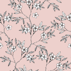 Botanical drawing flowers cosmos pattern. Seamless flower pattern background with Dog-rose flower drawing illustration for wedding table, greetings, wallpaper, fashion, backgrounds, wrappers, cards