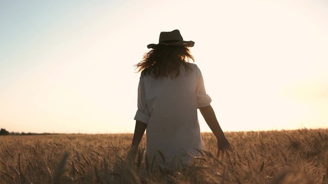 Woman wearing white shirt runing through wheat field and touch ears by hand, sunset shot