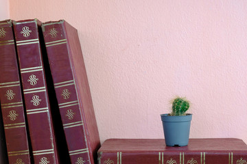Cactus pot on old book vintage on the shelf