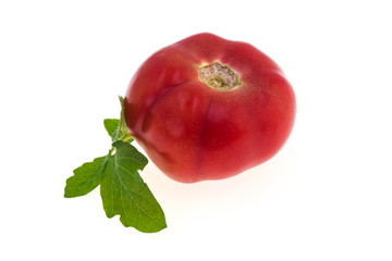 Tomato isolated on white background