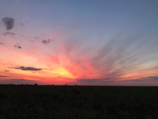 sunset over field