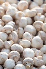 Champignons, Agaricus bisporus vertical background. Foreground focus