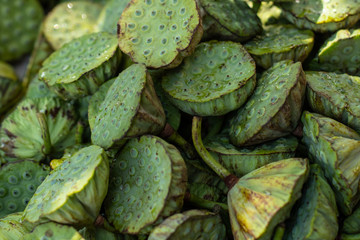Texture of Green lotus. Unripe lotus flower. Lotus seeds. Edible exotic flower sold on a street in Beijing.