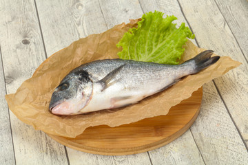 Raw Dorada fish  for cooking