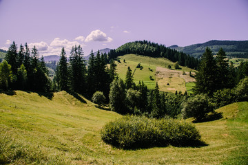 Mountain village landscape in the wild Ukrainian Bukovyna area