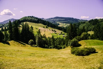 Fotobehang Purper Mountain village landscape in the wild Ukrainian Bukovyna area  © Mykhailo