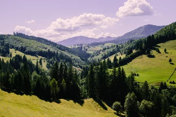 Fototapeten Lila Mountain village landscape in the wild Ukrainian Bukovyna area  © Mykhailo