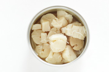 Canned food, boiled scallop on white background
