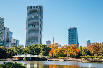 Fototapeta na wymiar Hamarikyu Gardens and modern buildings at autumn in Tokyo, Japan