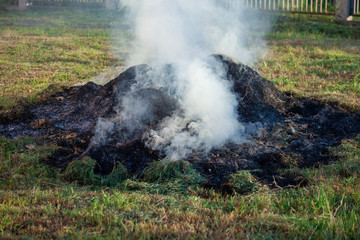 Fototapeta na wymiar Burning grass and leaves, fire while cleaning the garden. Voluminous smoke