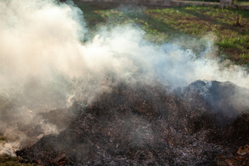 Burning grass and leaves, fire while cleaning the garden. Voluminous smoke