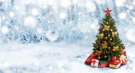 Fototapeta na wymiar Christmas Tree in winter