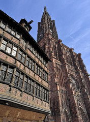 Cathédrale de Strasbourg en Alsace - 289814176