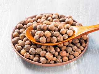 Allspice (Jamaica pepper) in clay plate and wooden spoon horizontally on grey cement background.