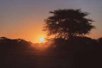 sunset in African Safari 