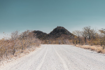 Obraz na płótnie Canvas Gravel Road through Namibia, Africa
