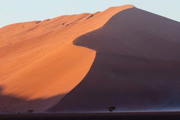 sand dunes in the desert