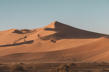 Fototapeta na wymiar Sand Dunes in the Desert of Namibia 