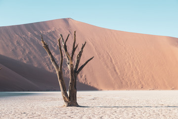 sossusvlei Nambia 
