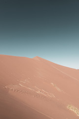 sand dunes in the desert