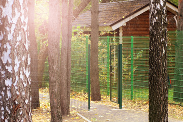 Green metal gates in the Park, forest