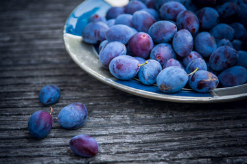 leckere, saftige, reife Zwetschgen, Pflaumen in einer Schale auf einem Holztisch. Selektive Schärfe