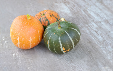 Three pumpkins of different colors on a gray wooden background. Autumn harvest