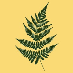 Green leaf of fern on a yellow background. Silhouette. Vector illustration.