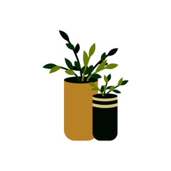 Vector illustration of a potted home plant isolated on white. Home plant in a pot. Interior design element.