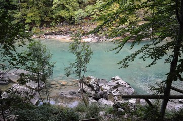 a pure river of green