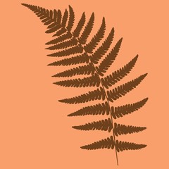 Brown fern leaf on a pink background. Silhouette. Vector illustration.