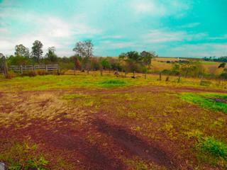 Fototapeta premium landscape