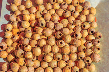 Wooden craft beads of Sandalwood Seed. Australia Bush food eaten by Australian s. Australian outback. Northern Territory, Australia.