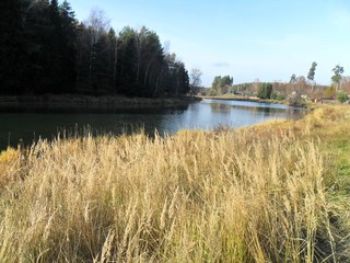 landscape with river